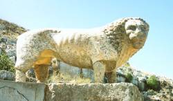 Lion on Cyrene Archaeological Site